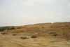 Noman Royal City