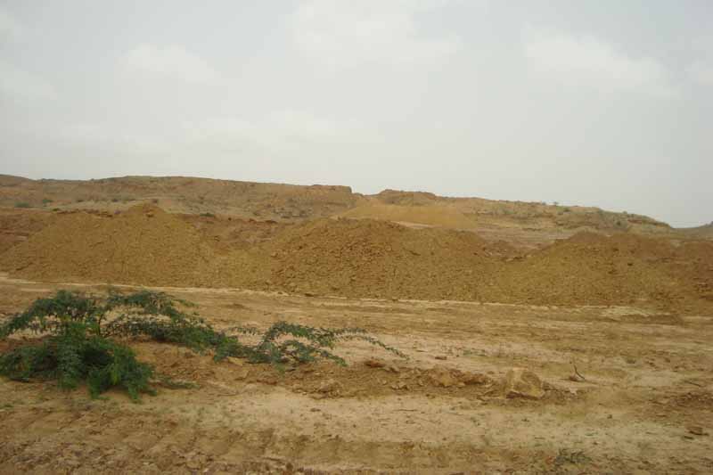Noman Royal City
