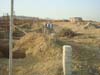 Noman Royal Villas