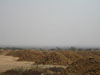 Noman Royal City