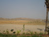 Noman Royal City