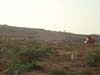 Noman Royal City